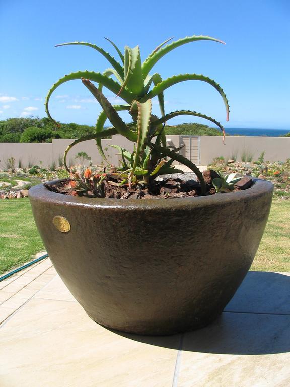 Villa Bella Vista Onrus Hermanus Exterior foto